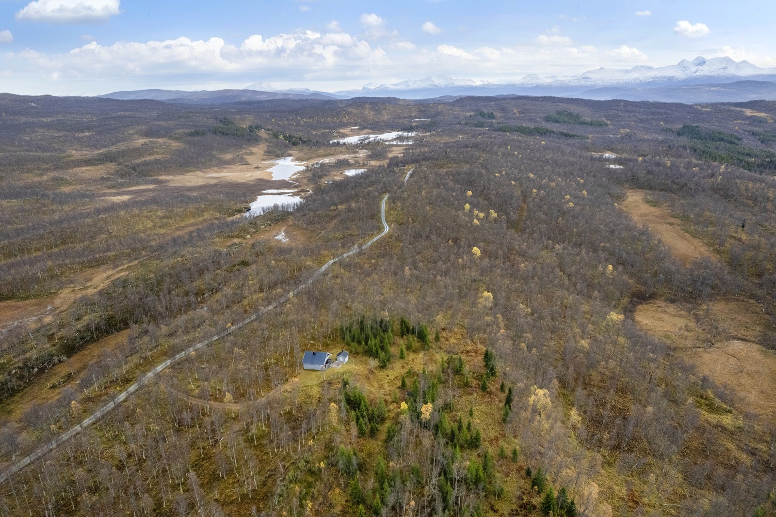 Velkommen til visning! Galleribilde