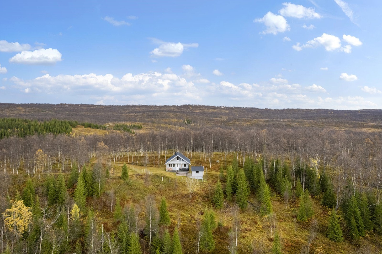 Opplev naturens stillhet og den friske fjellufta. Galleribilde