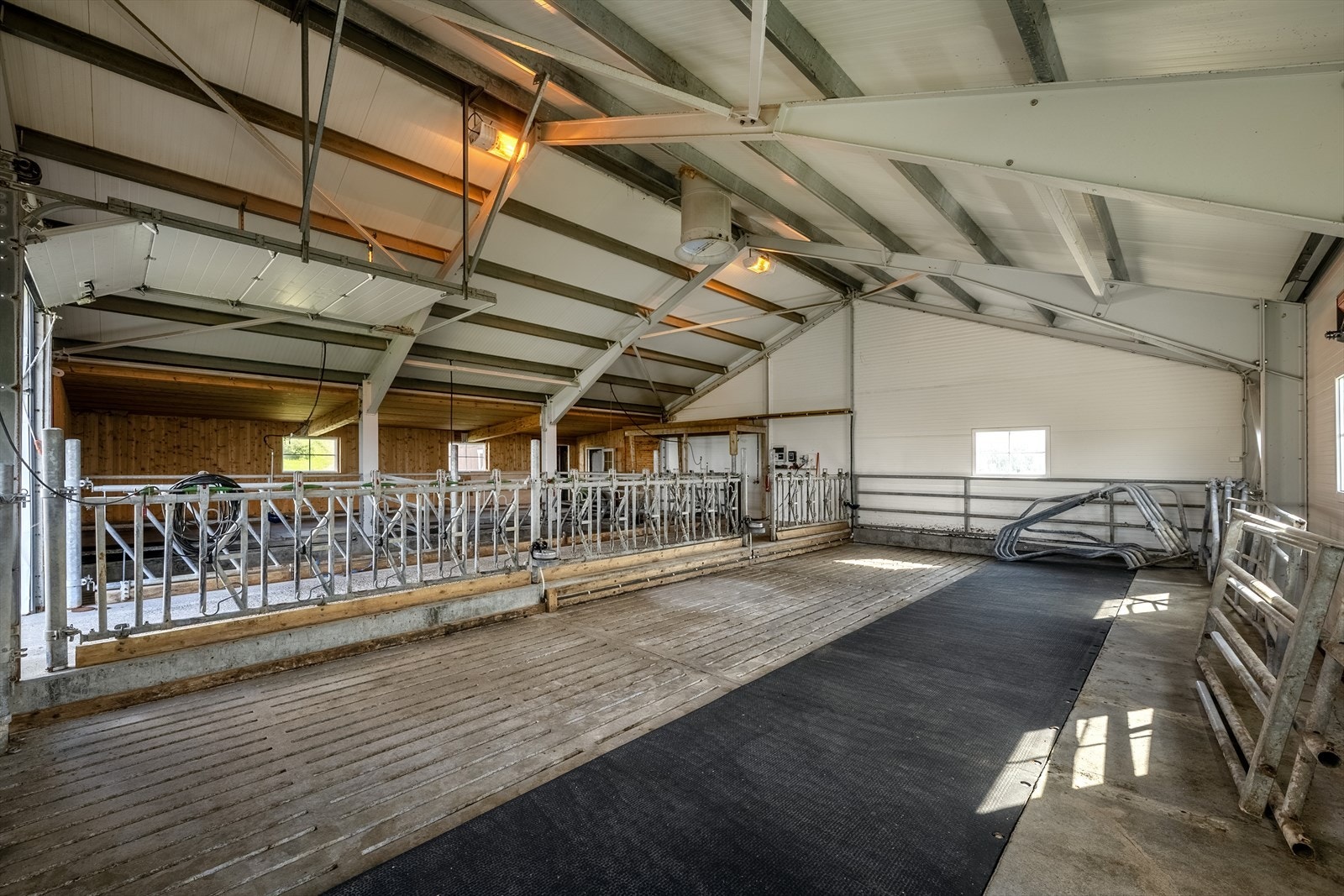 Fjøs med søylefri del (23 båsplasser med spaltegulv). Isolert leddheiseport. Galleribilde