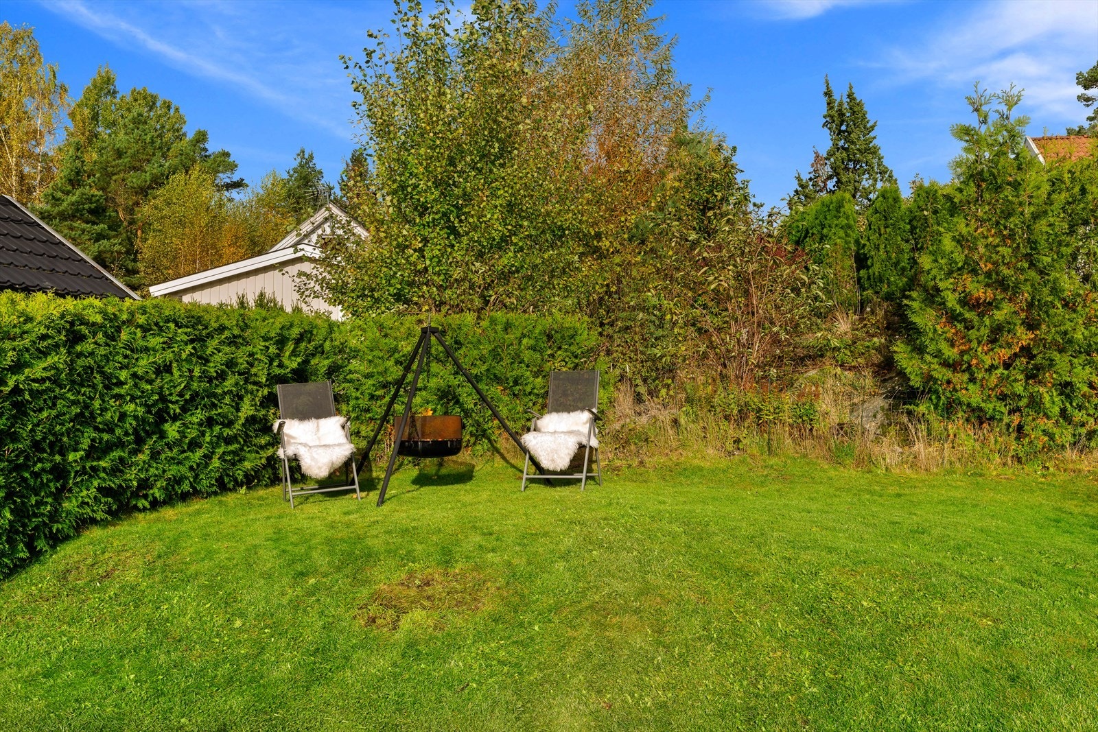 Tomten er opparbeidet med gressplen. Galleribilde