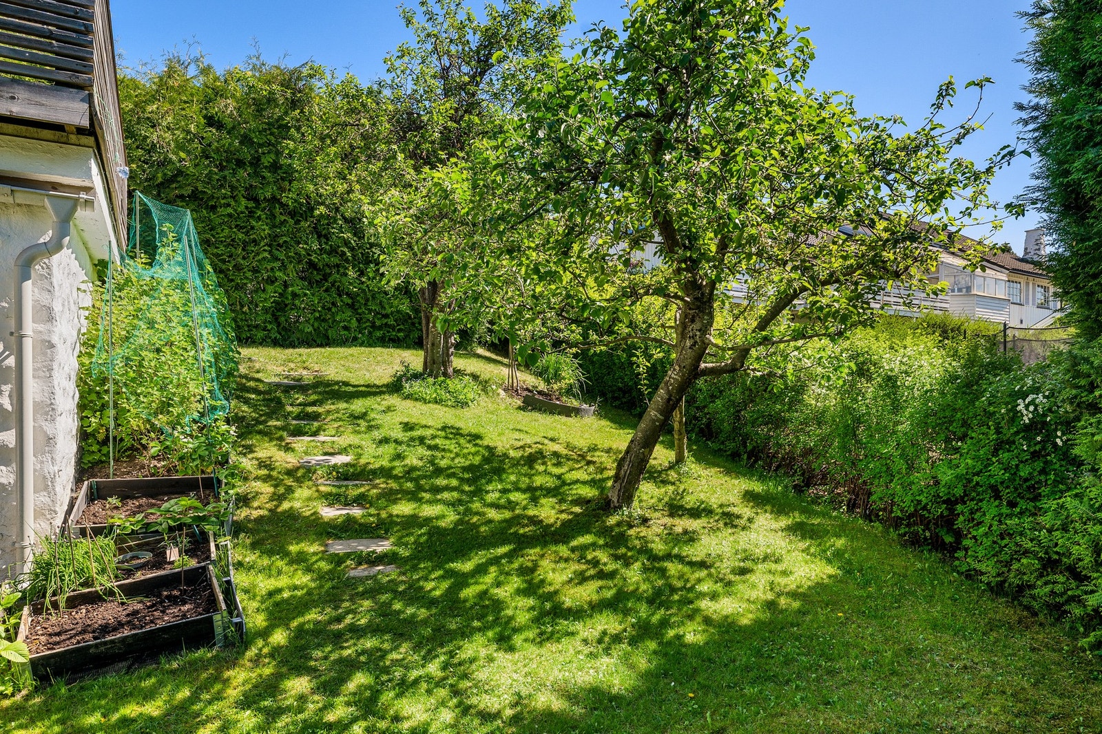Hagen byr på frukttrær og bærbusker, rikelig med plass til både lek, hagearbeid og hygge for hele familien. Galleribilde