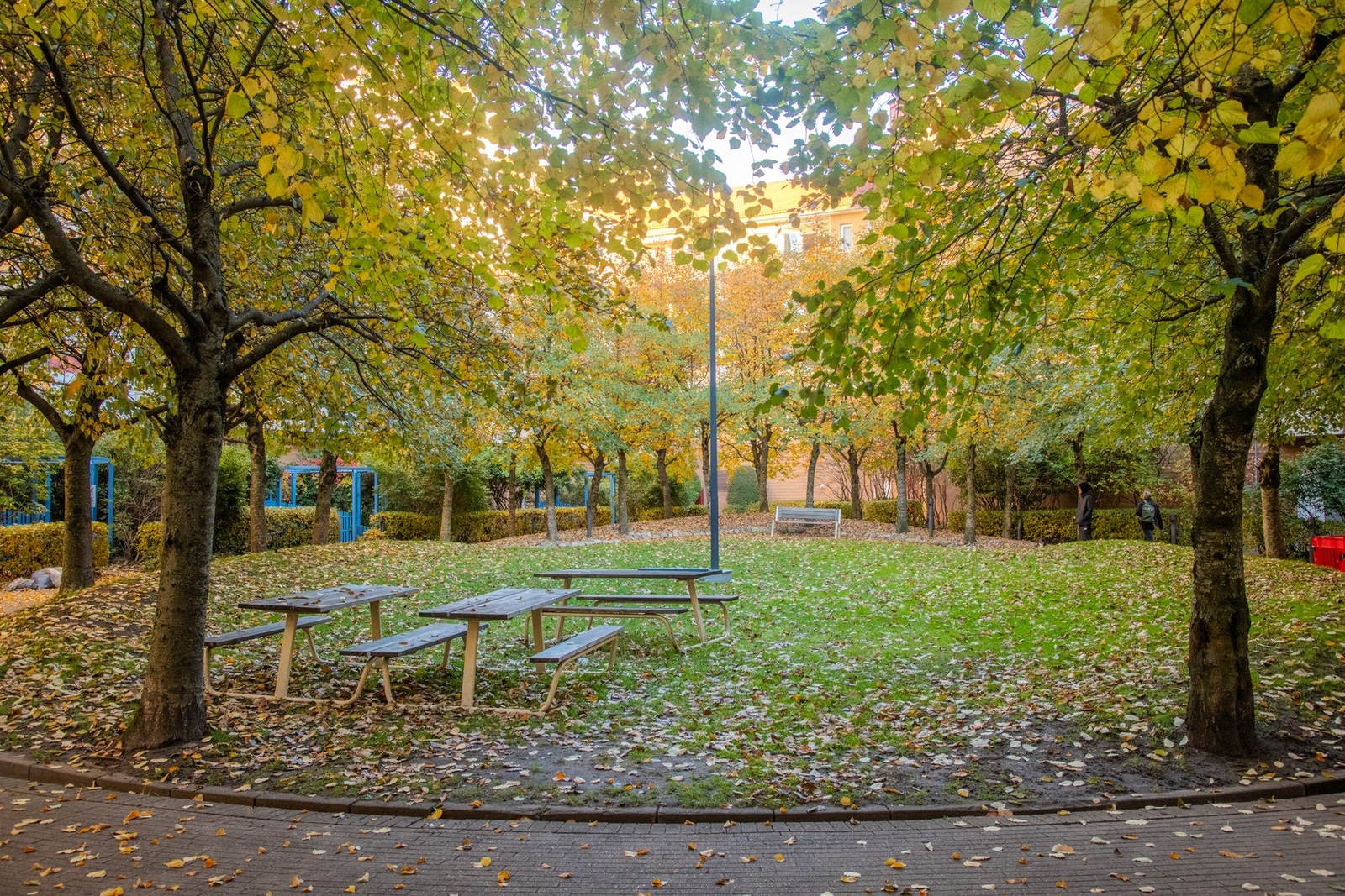 Flotte fellesarealer med diverse beplantning og sittebenker. Galleribilde