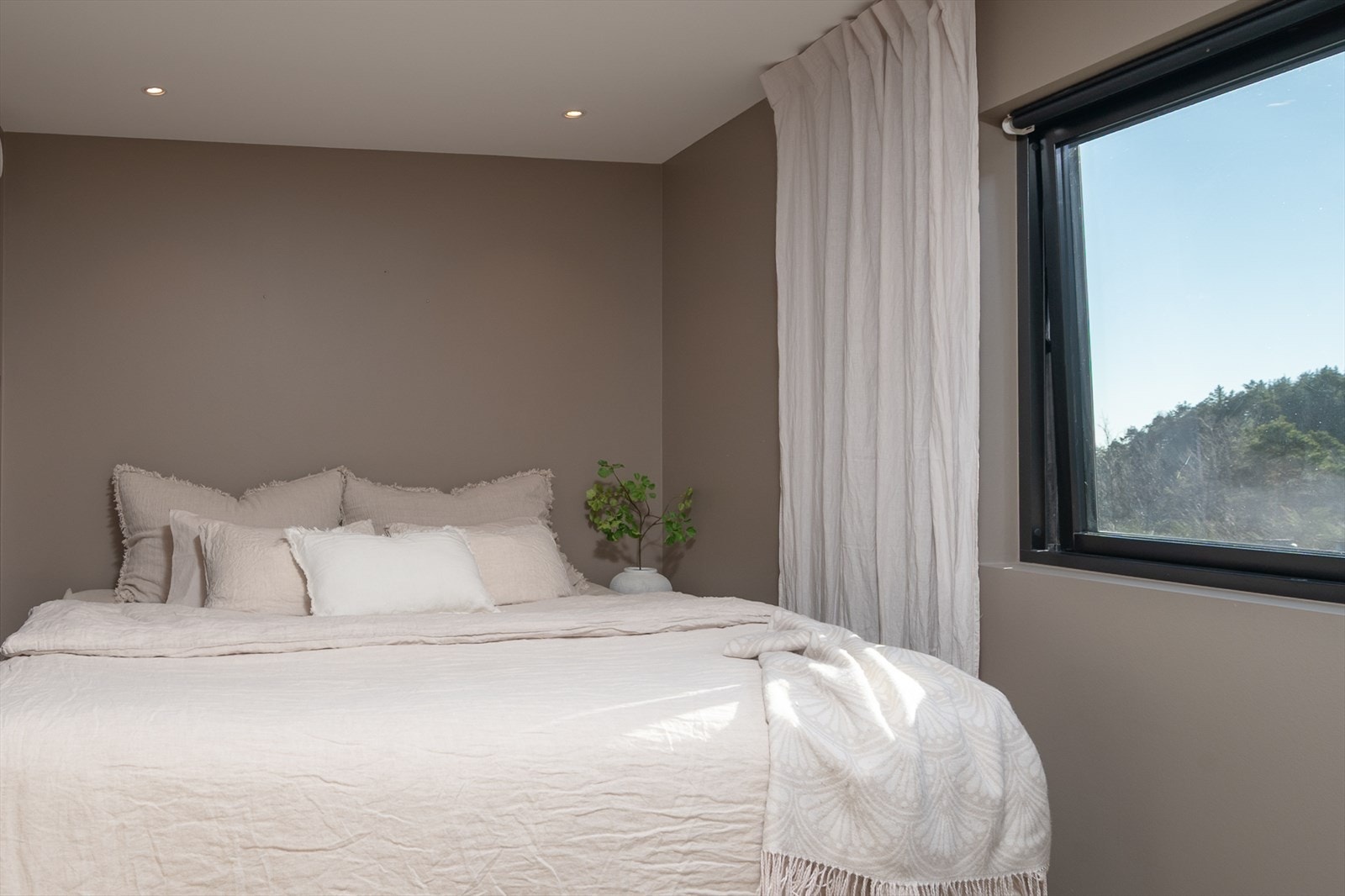 Duse, delikate farger Galleribilde