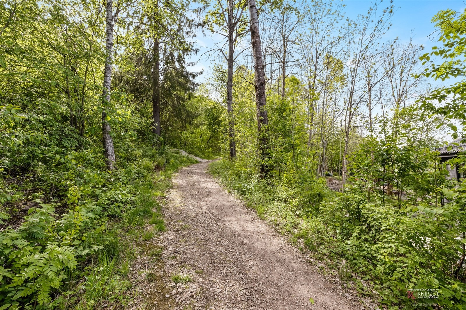 Tursti rett bak huset! Galleribilde