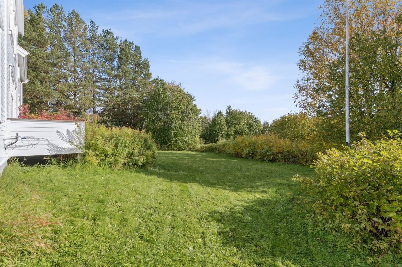 Uteområdet har mye busker og trær som står inne på den store tomta. Galleribilde