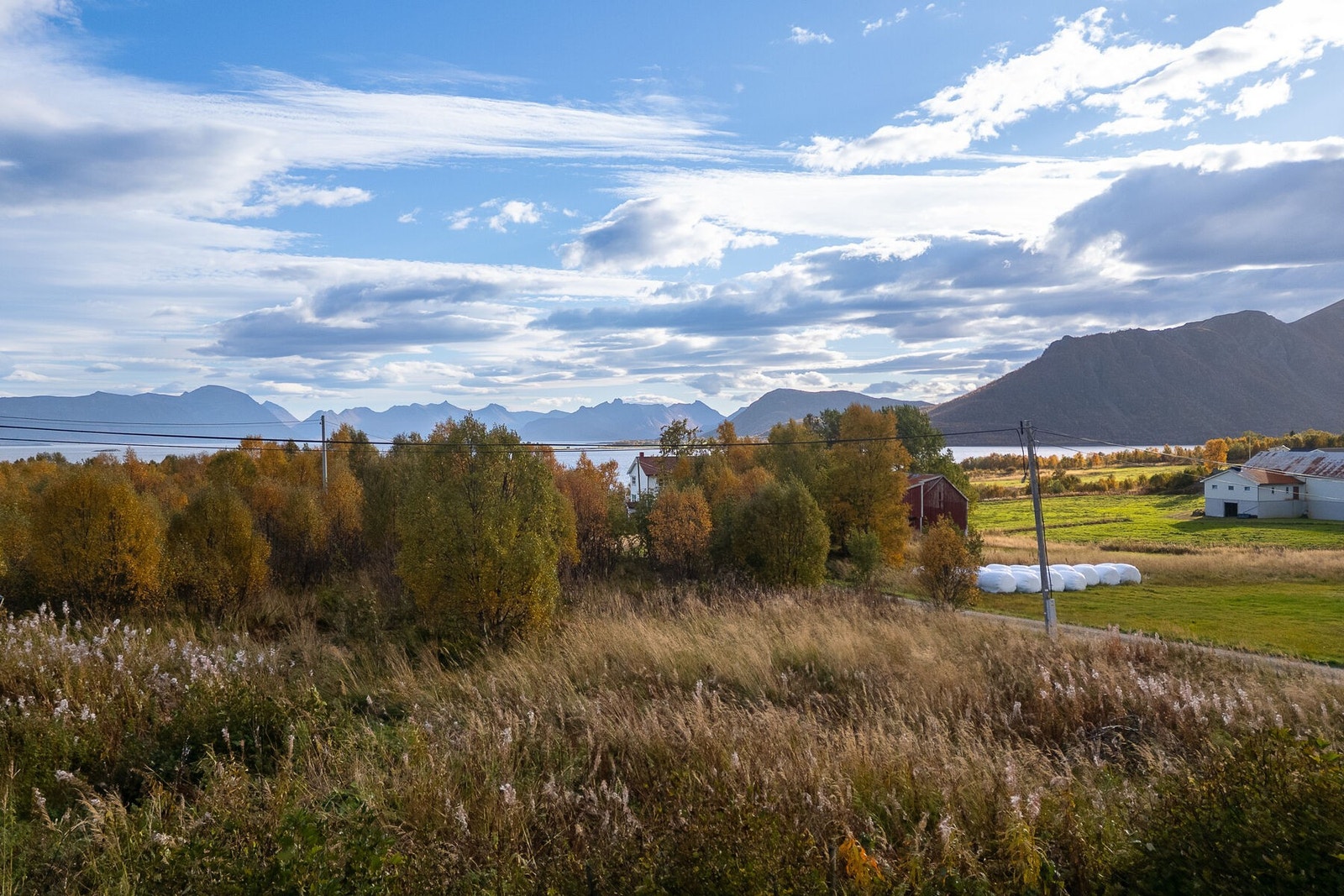 Utsikten Galleribilde