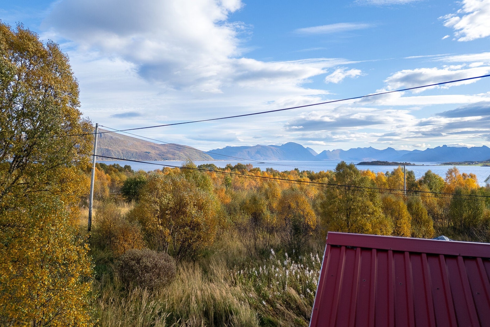 Utsikten Galleribilde