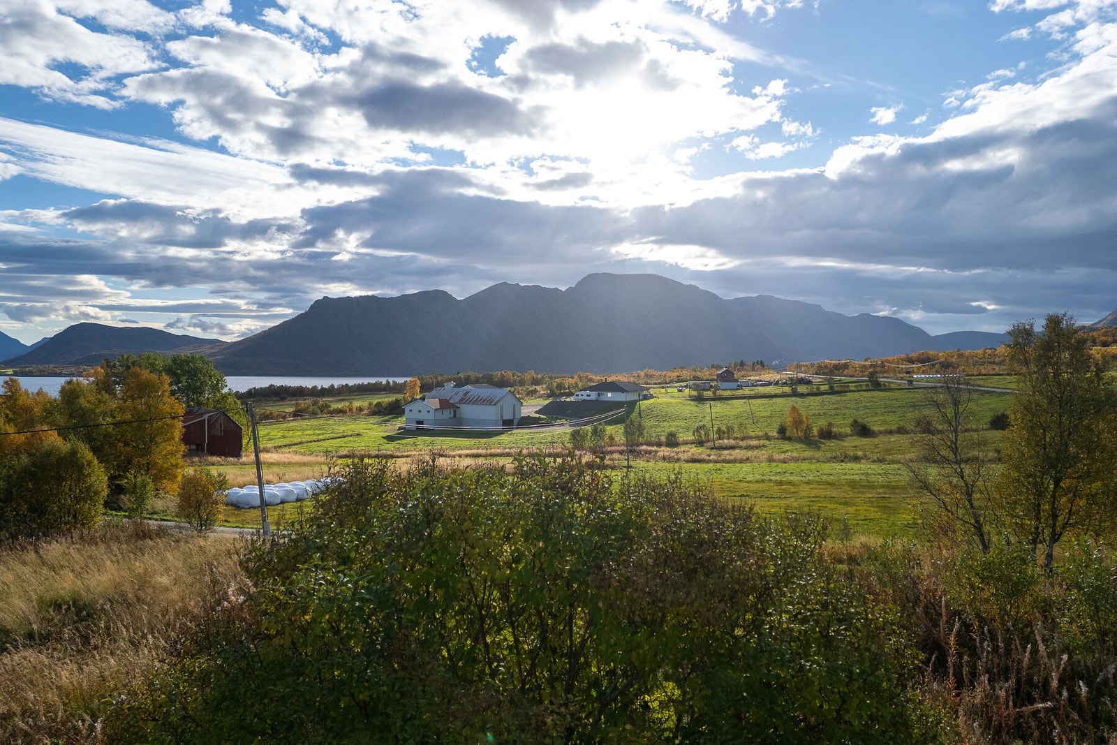 Utsikten Galleribilde