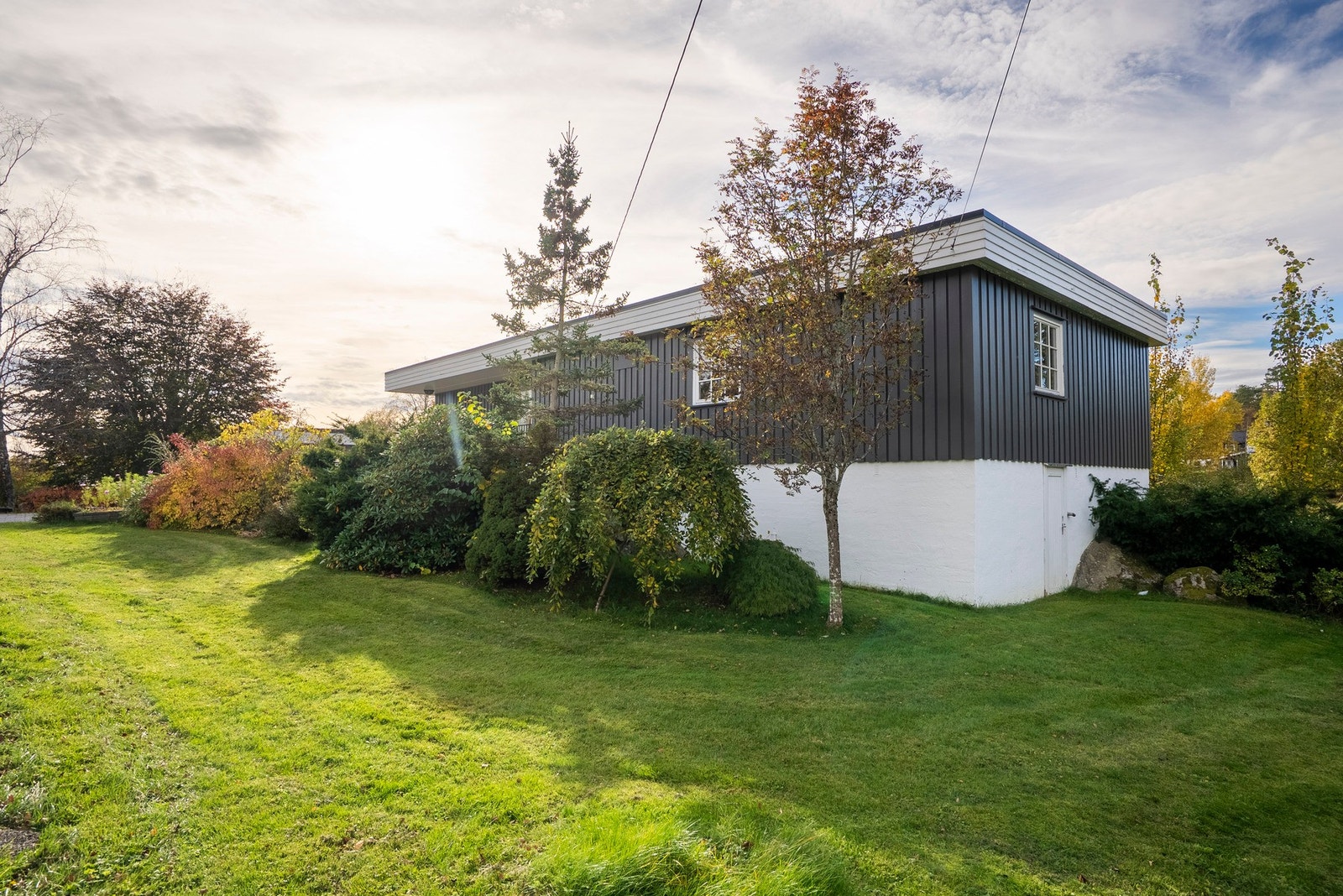 En frodig og skjermet hage med variert beplantning som skaper en rolig og privat atmosfære Galleribilde