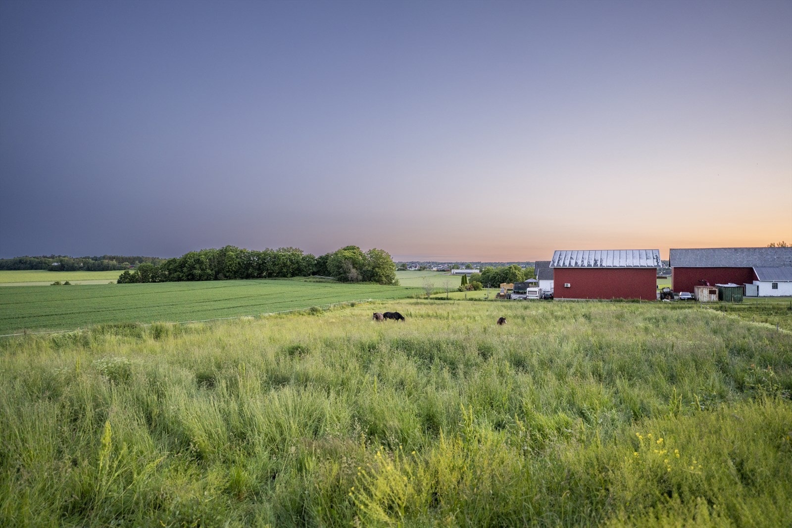 Flott utsyn mot nærliggende områder! Dette er en landlig, men svært sentral beliggenhet Galleribilde
