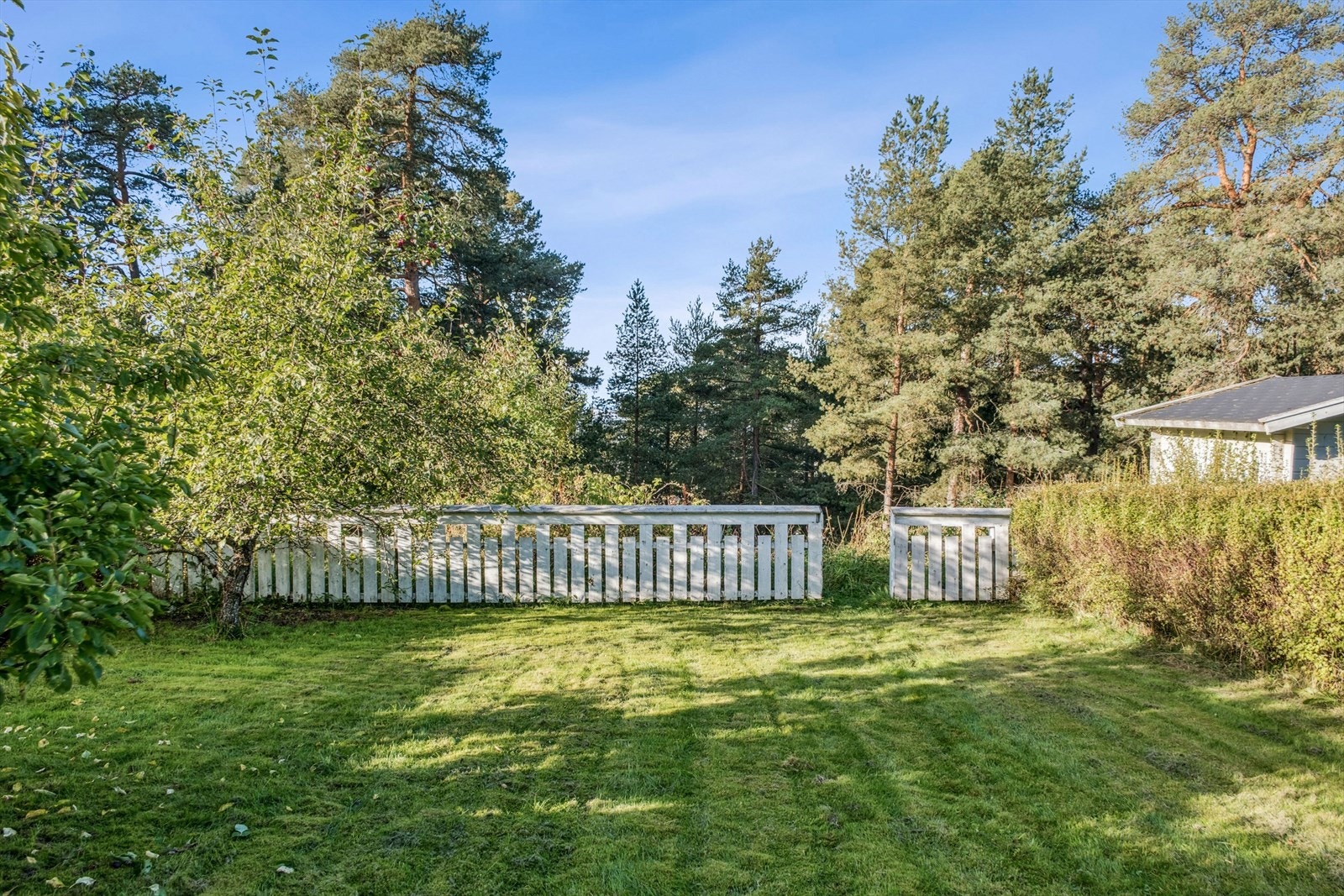 Hage som grenser til Furuskogen, stier ned til sentrum Galleribilde