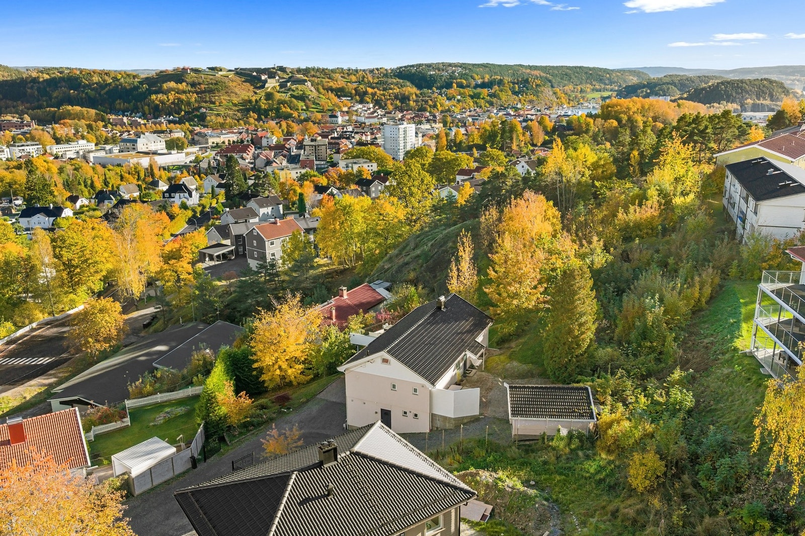 Oversiktsbilde over nærområdet og Halden sentrum Galleribilde