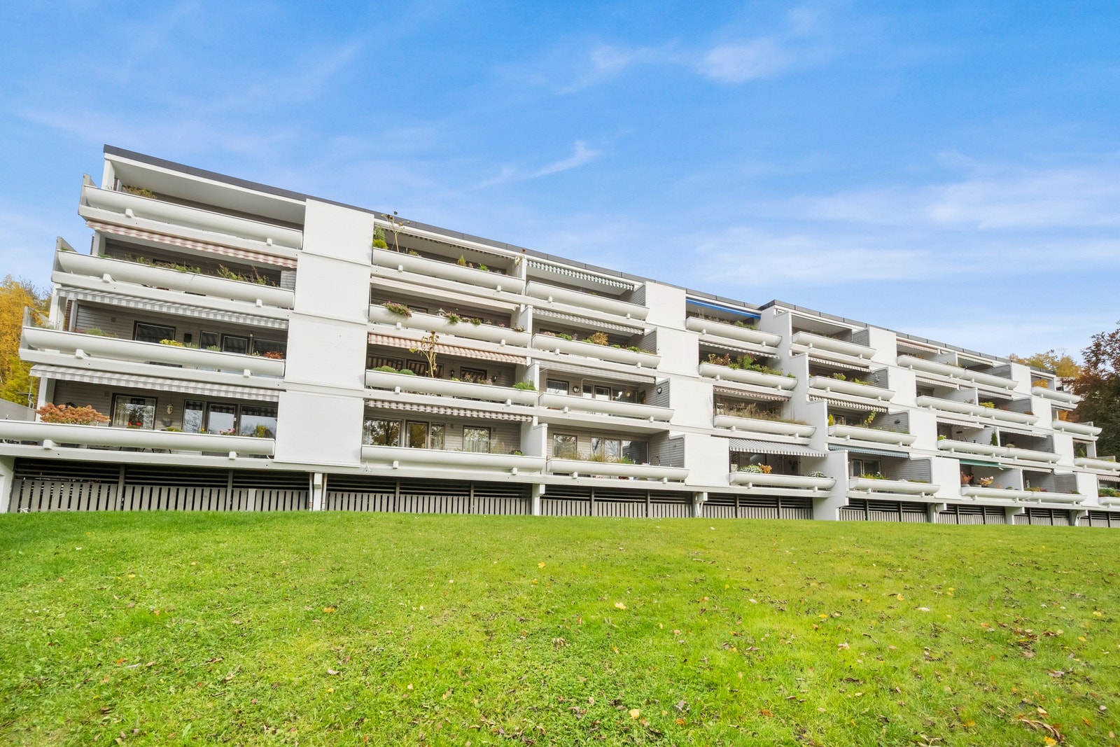 Fasaden sett fra fellesomårdet. Galleribilde