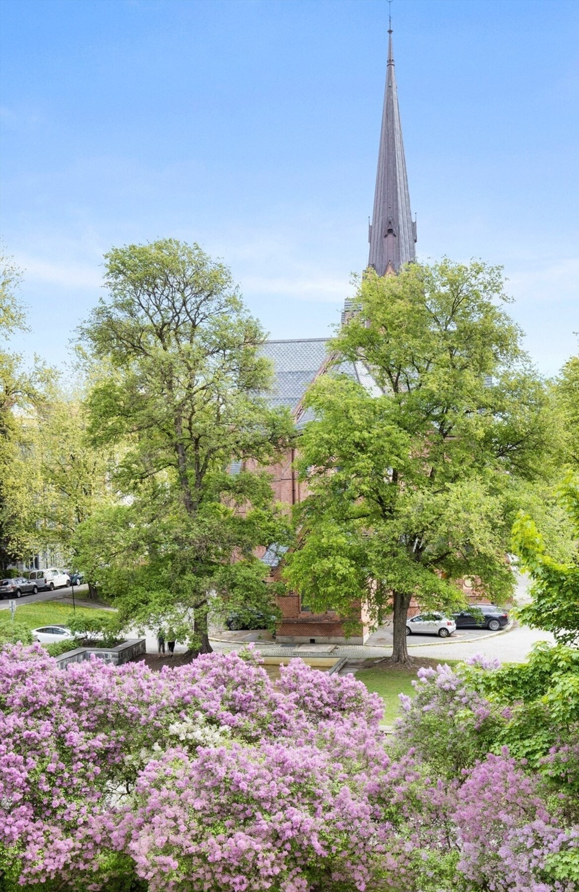 Her kan man nyte alle årstider i all sin prakt! Galleribilde