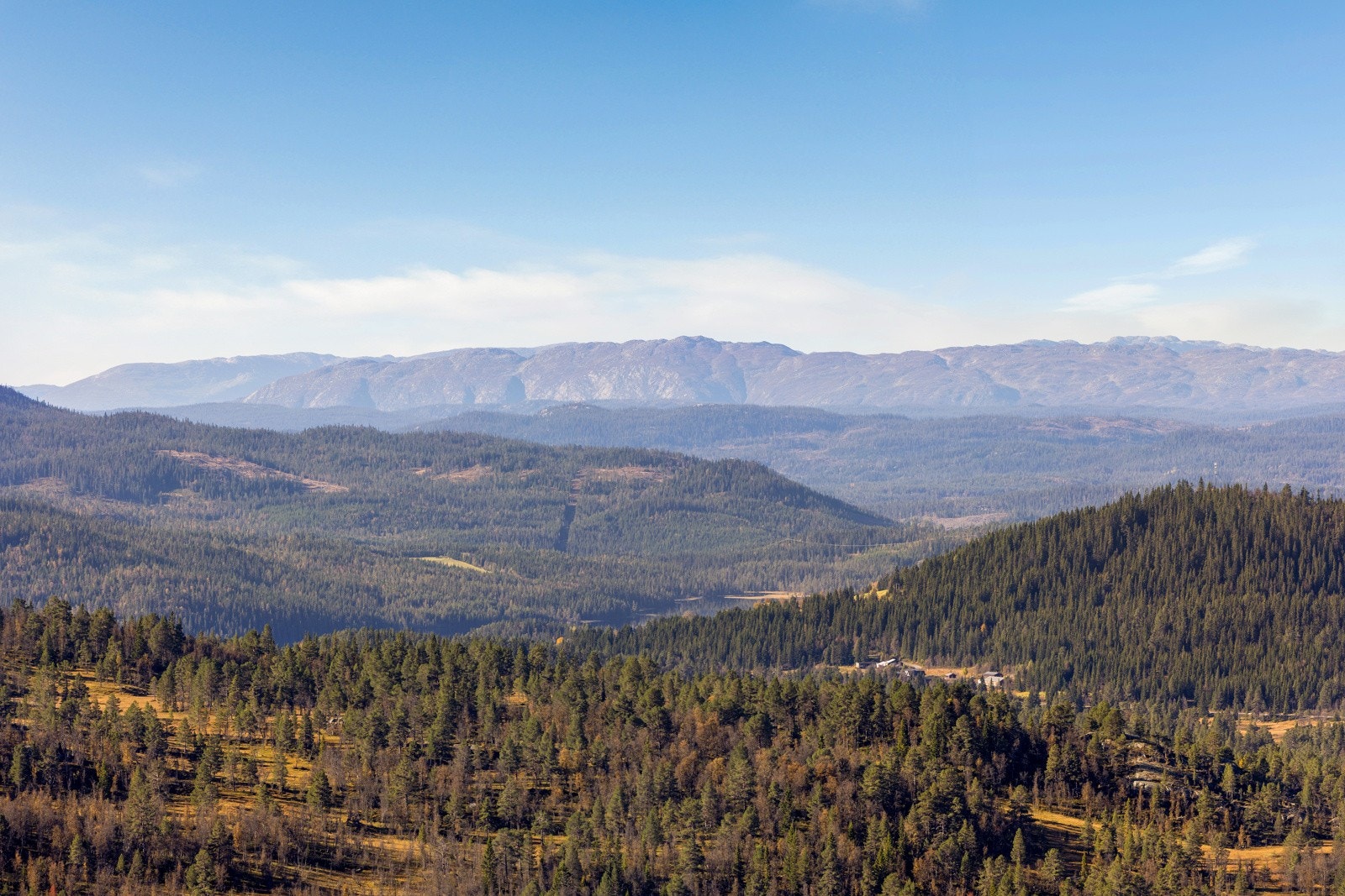 Nydelig utsikt Galleribilde