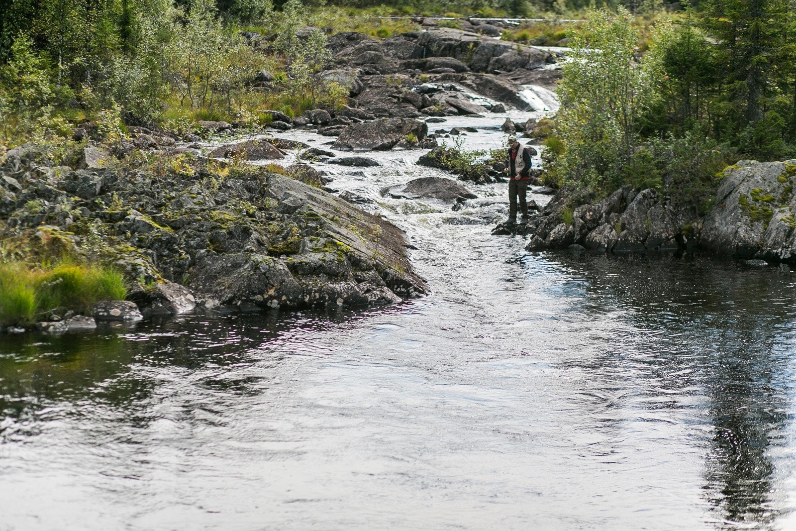 Et stort utvalg av fiskevann i området, også i gåavstand fra hytta Galleribilde