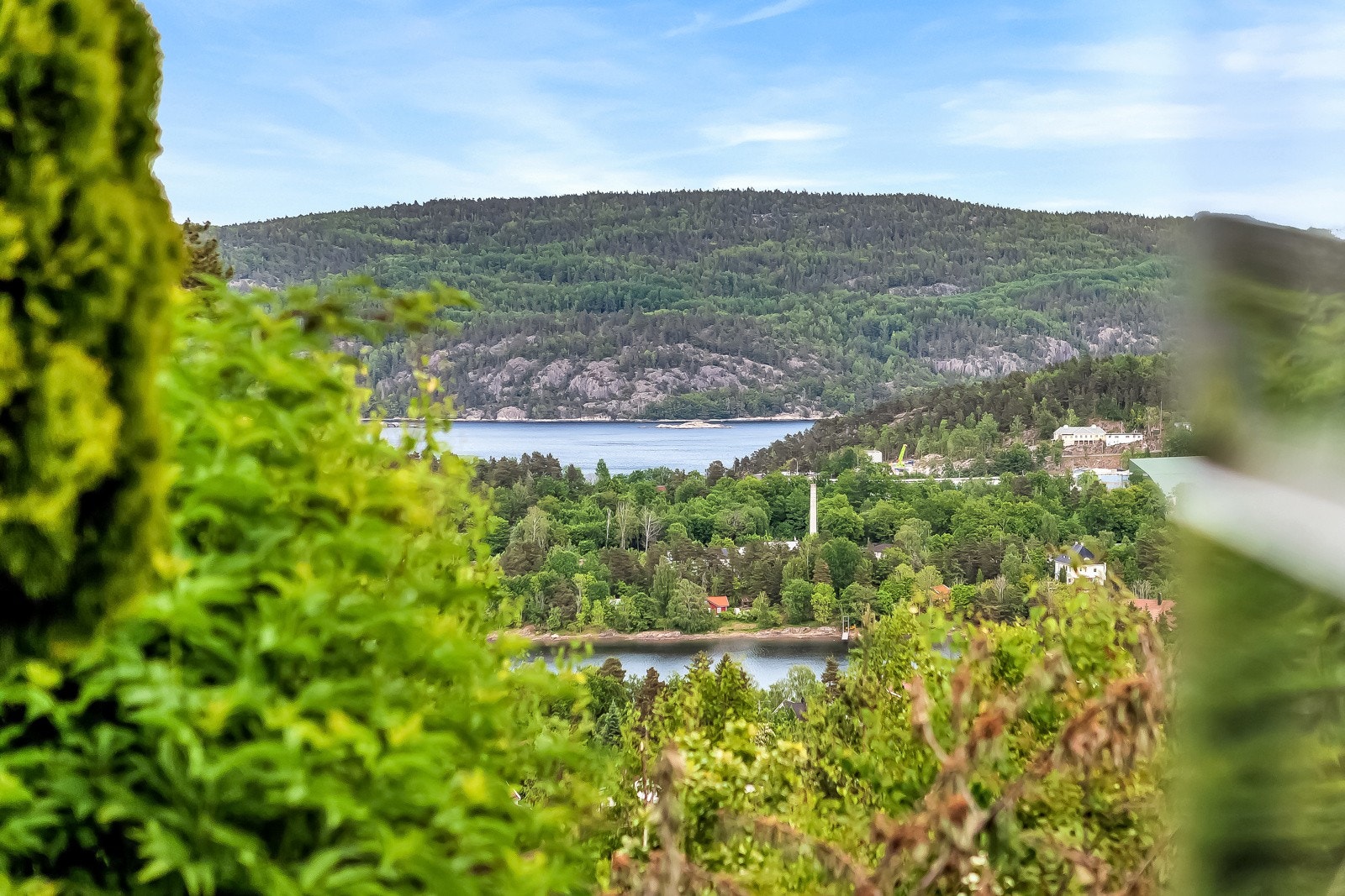 Sjøgløtt. Galleribilde