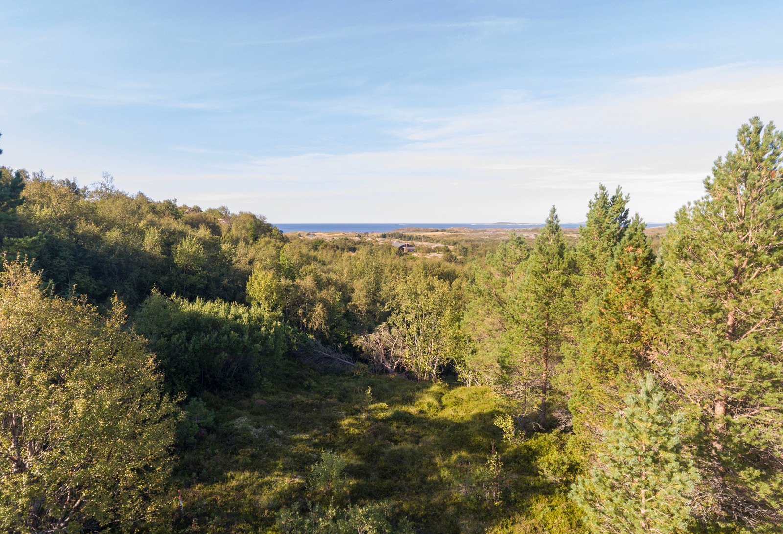 Utsikt rett opp fra tomt 3 Galleribilde