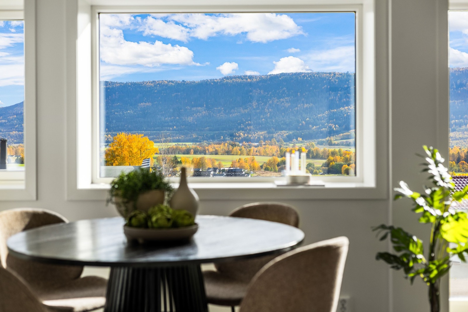 Vidstrakt utsikt over skogkledde åser. Galleribilde