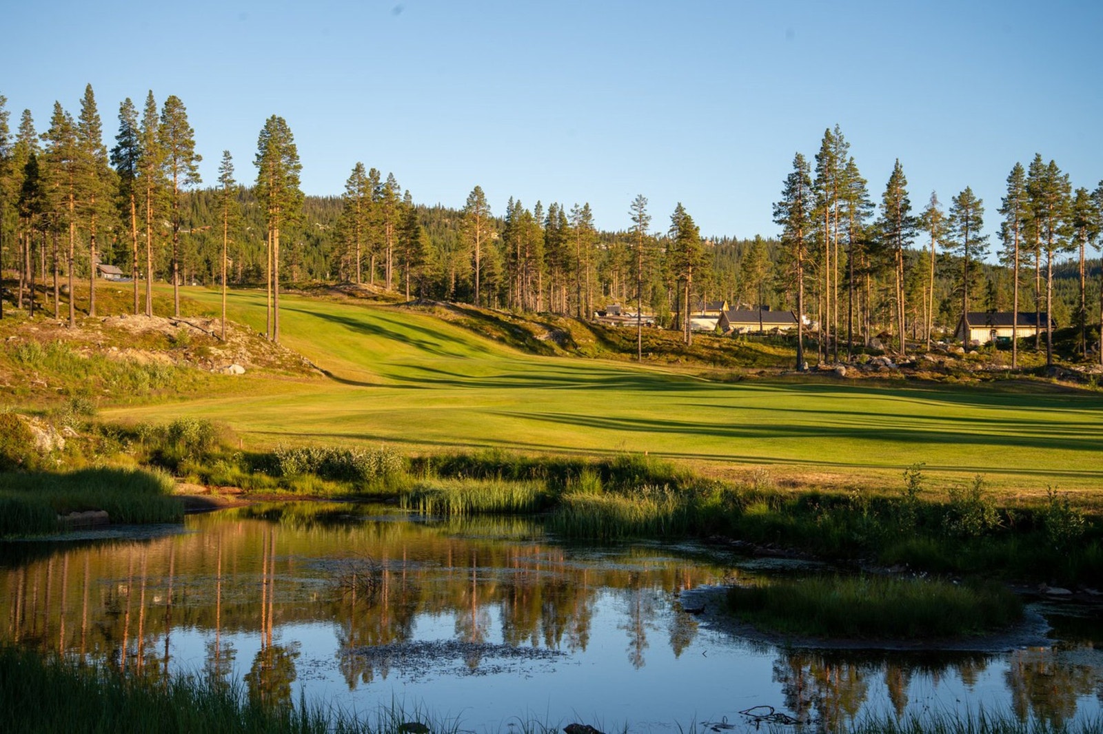 Golfbane med 9 hull. Galleribilde