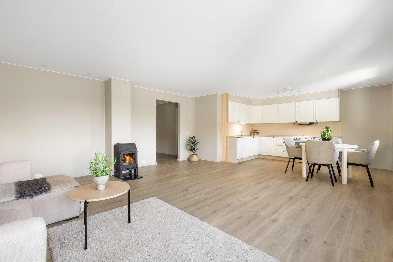 Fin åpen løsning Galleribilde