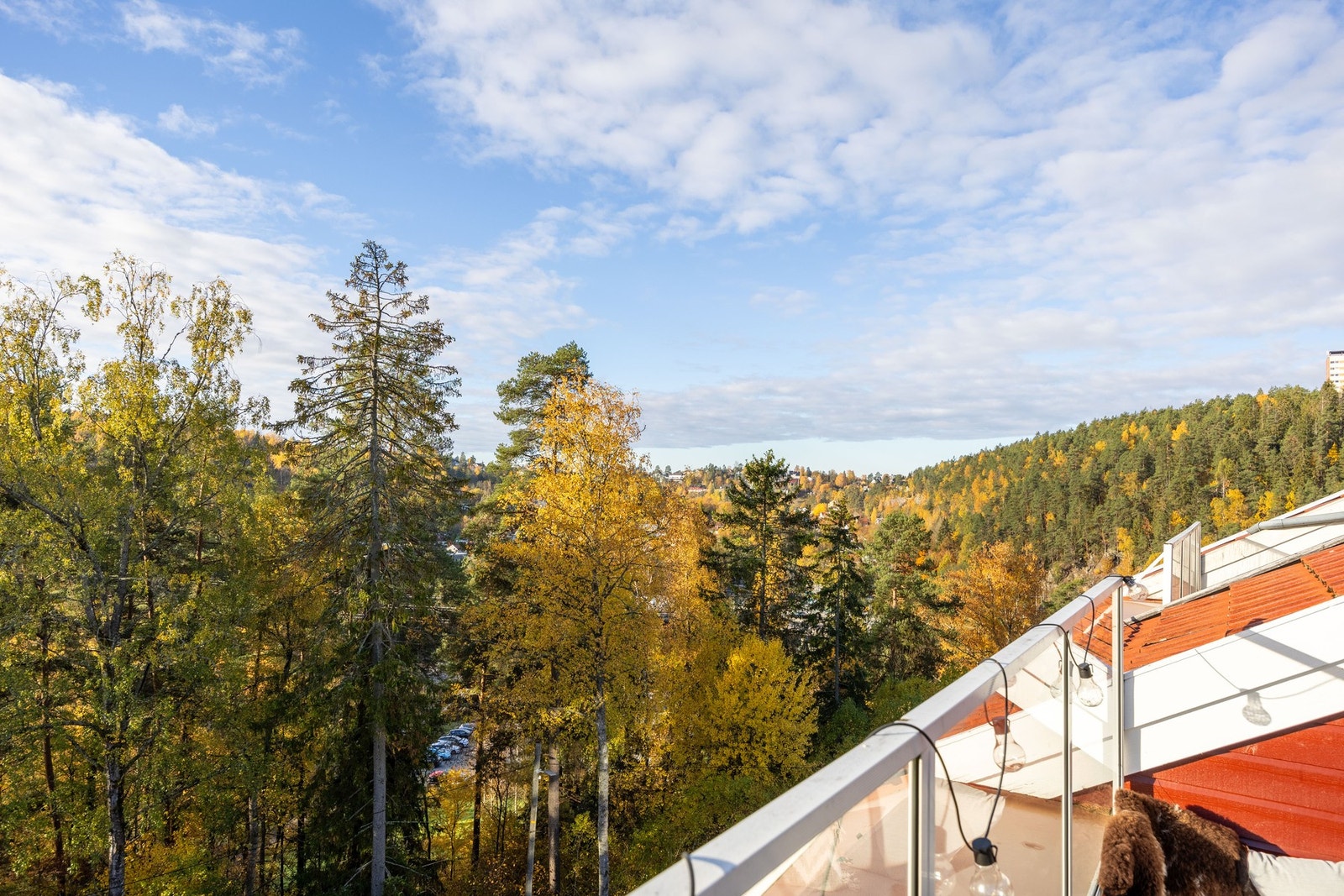 Husk visningspåmelding! Galleribilde