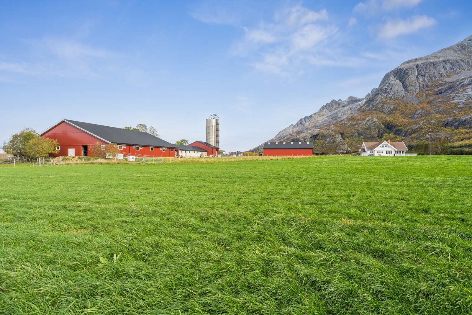 Gårdstun Galleribilde