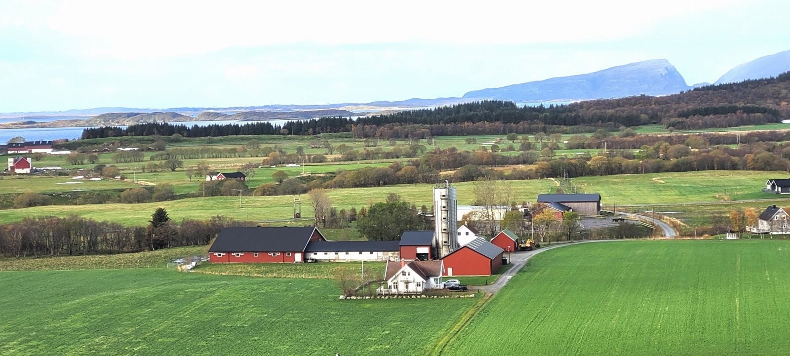 Gårdstun Galleribilde