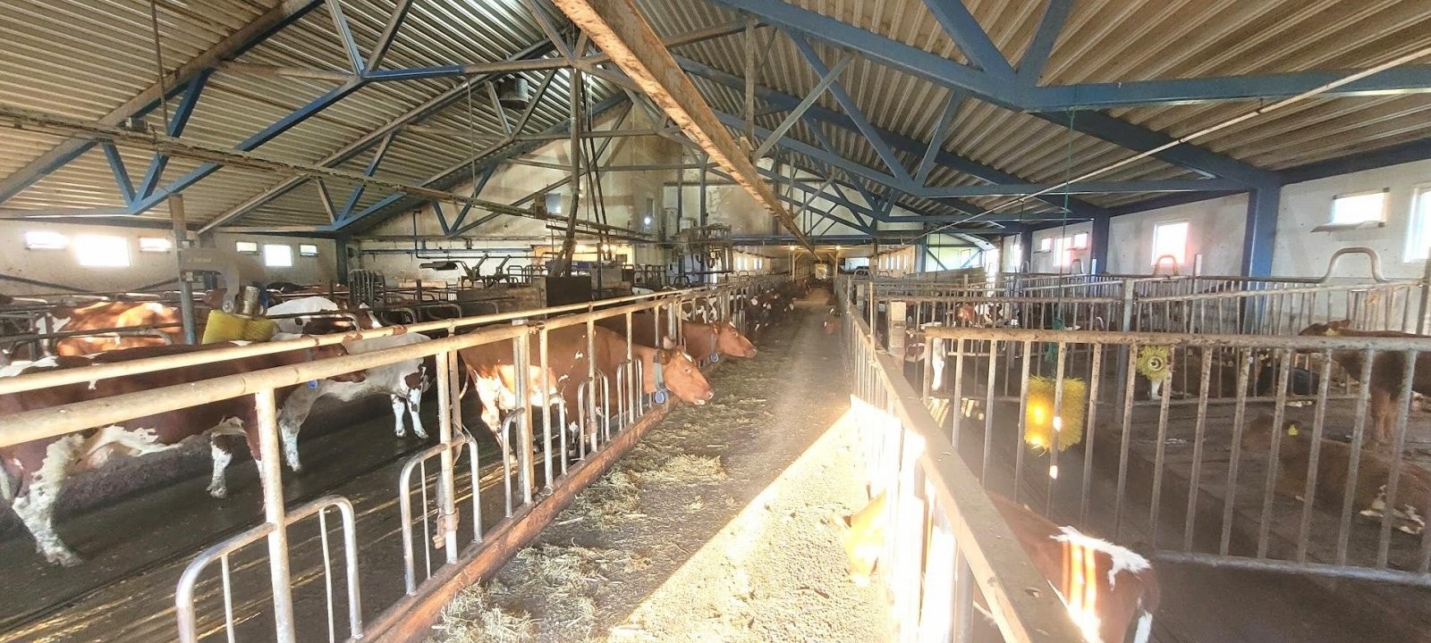 Driftsbygning Galleribilde