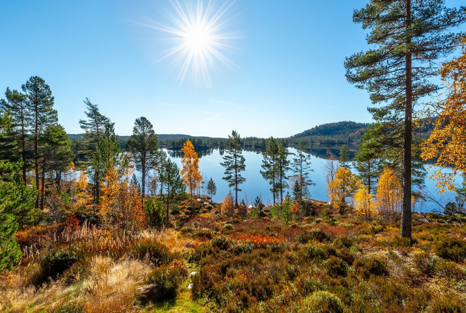 Utsikten fra terrassen mot Førevatn. På nedsiden er det badeplass og båtfeste. Galleribilde