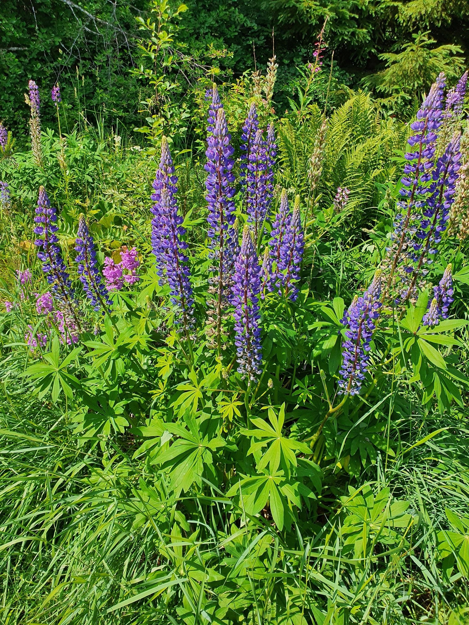 Stemningsbilde Galleribilde