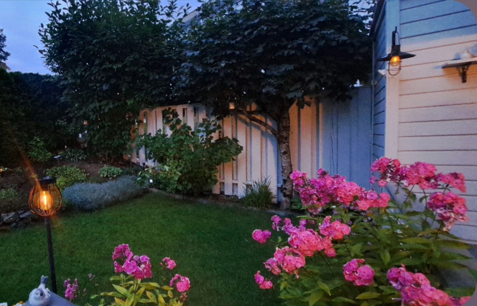 Kveldsbilde fra sommer. Galleribilde