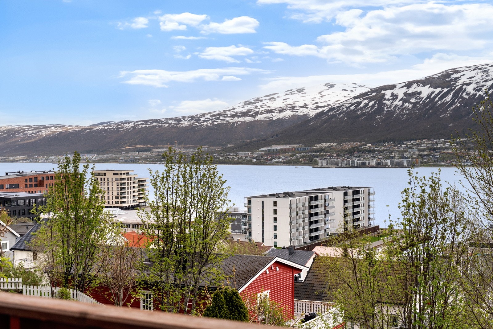 ... mens du følger med på den maritime trafikken i sundet. Galleribilde