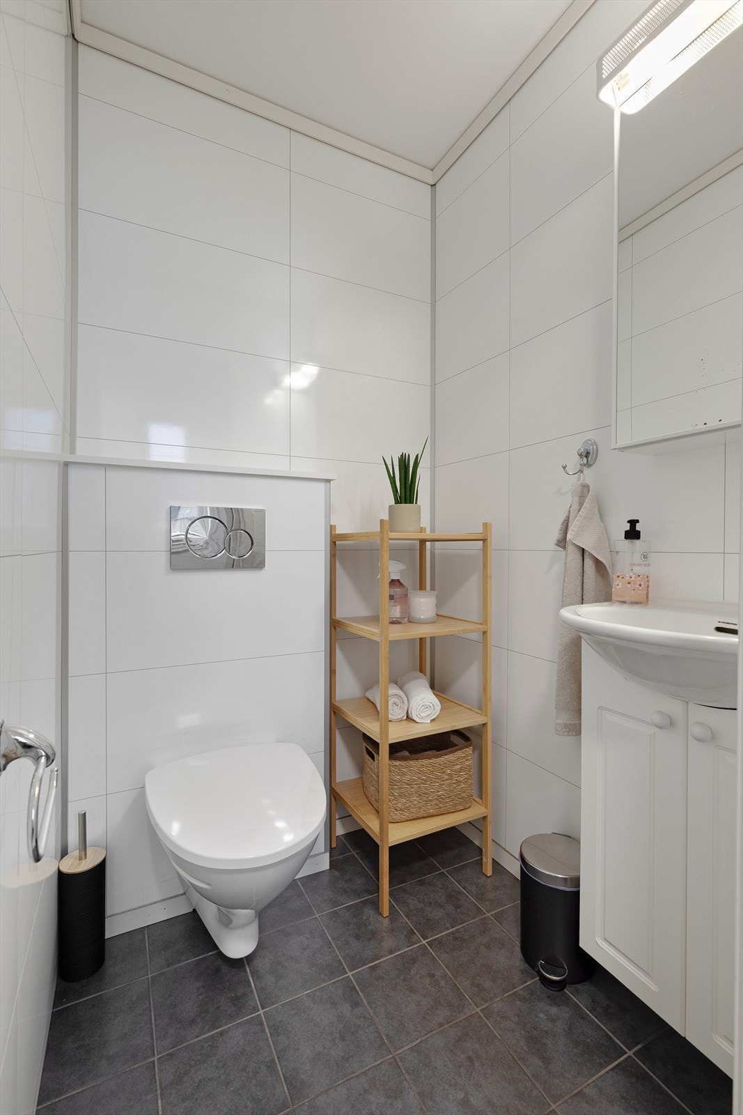 I gangen finn ei eit enkelt toalettrom utstyrt med toalett og servant. Galleribilde