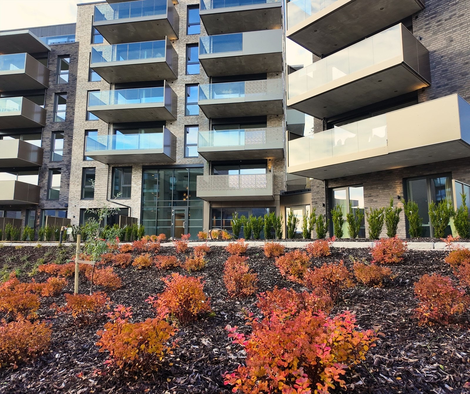 Fellesarealene er nå nylig ferdigstilt med grønne plener, vakre blomsterbedd. Her bor du i grønne og harmoniske omgivelser. Alt tilrettelagt for trivsel og privatliv i vakre Steinsåsen terrasse. Galleribilde