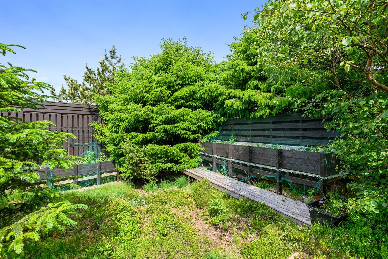 Uteområde Galleribilde