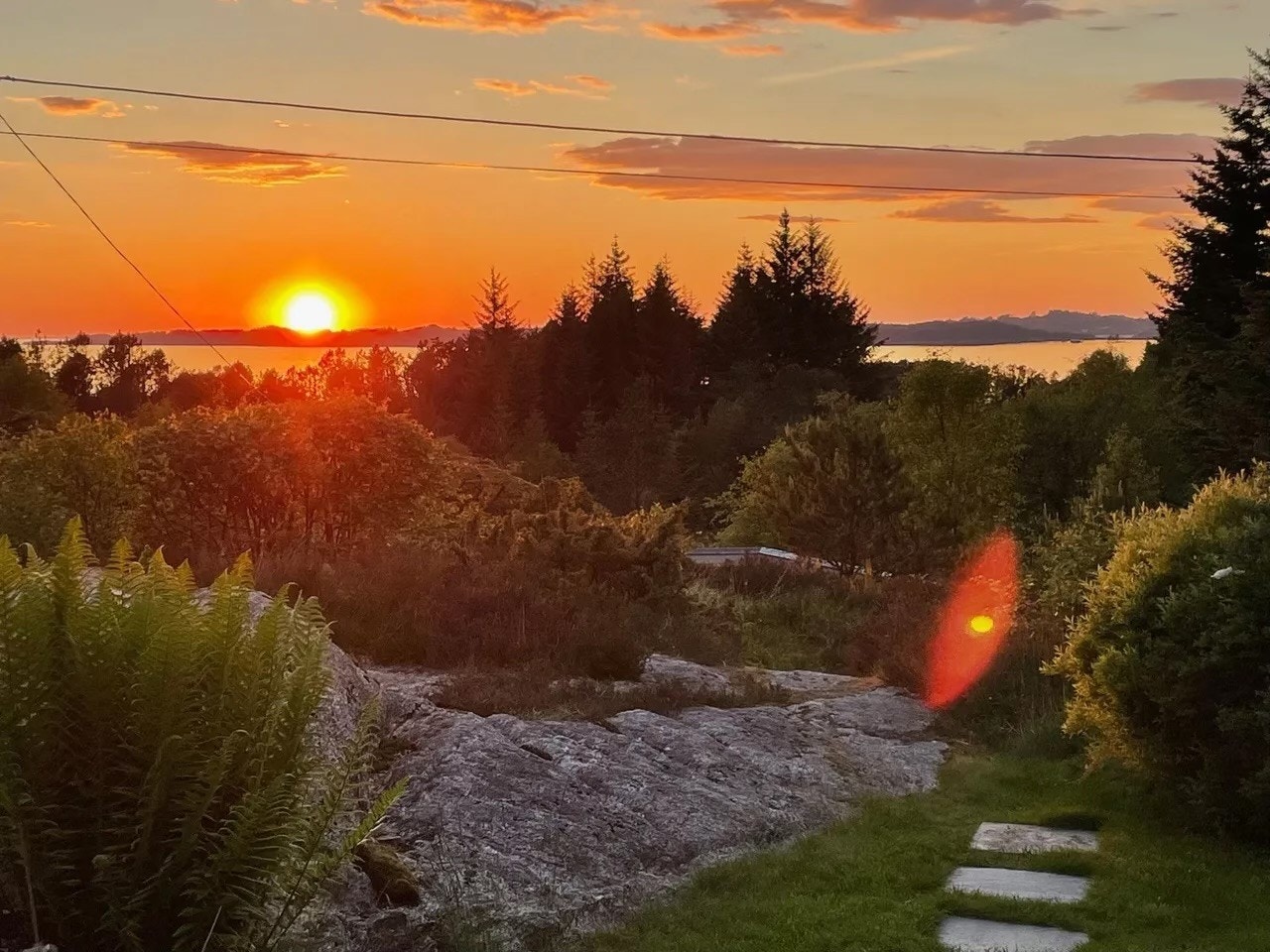 IMG_6721.jpg Galleribilde