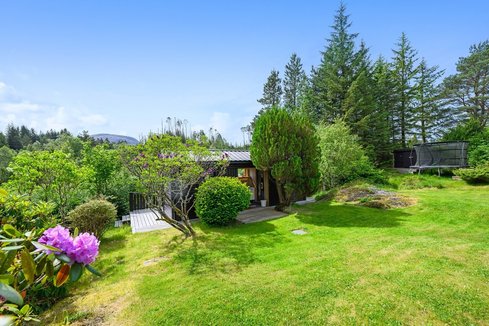 Uteområde Galleribilde