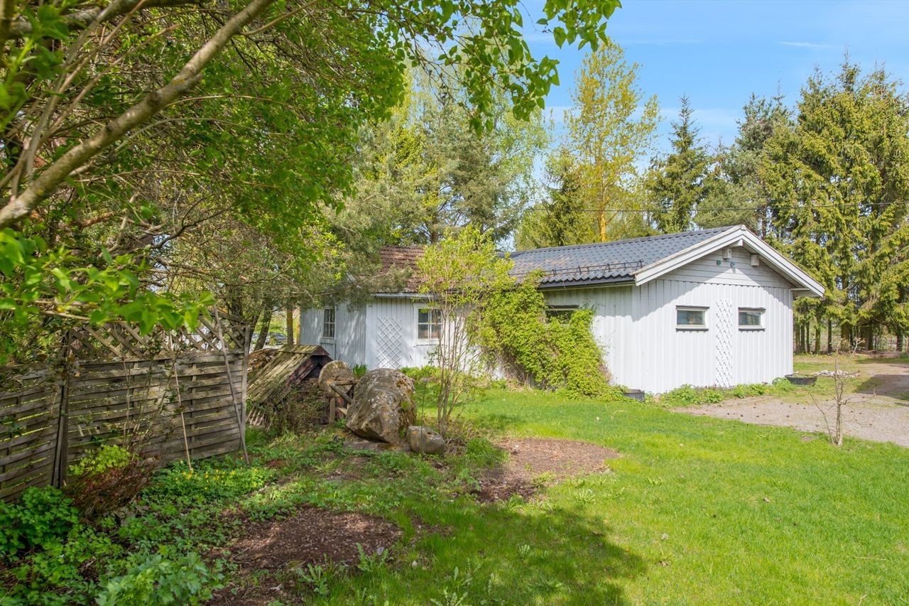 Stor og solrik tomt hvor deler er naturtomt med stedets naturlige vegetasjon Galleribilde
