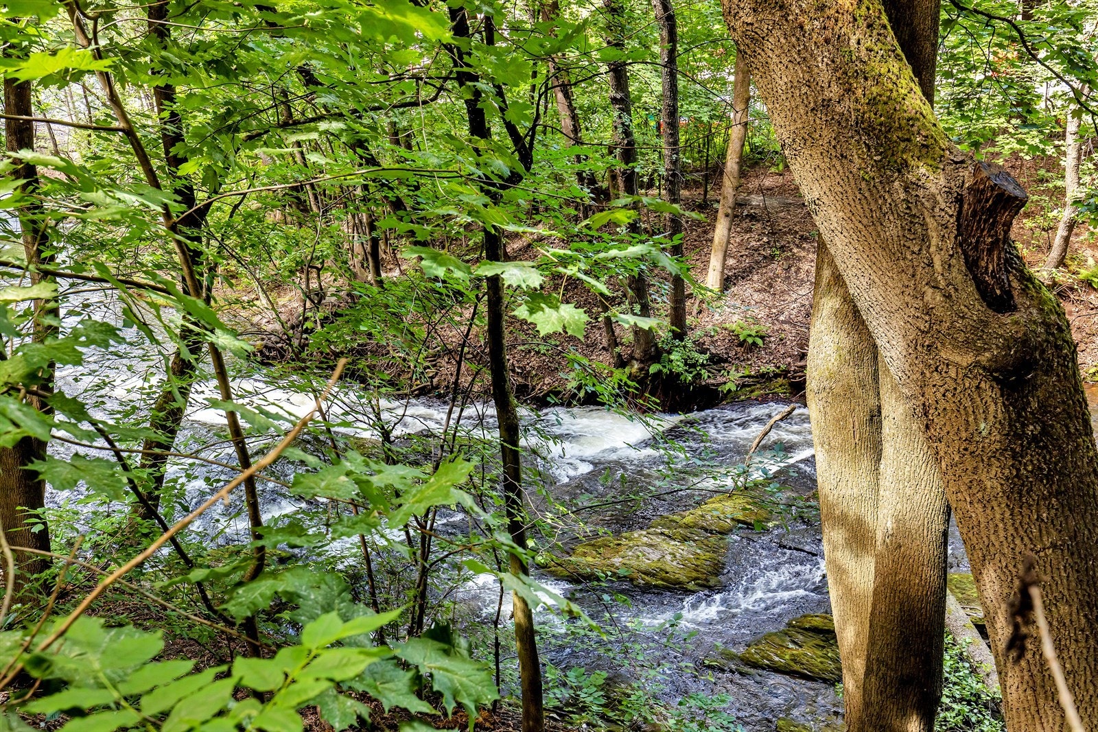 I umiddelbar nærhet fra leiligheten finner du Akerselva, med flotte turmuligheter og sitterområder. Området har også et bredt utvalg hyggelige parker. Galleribilde