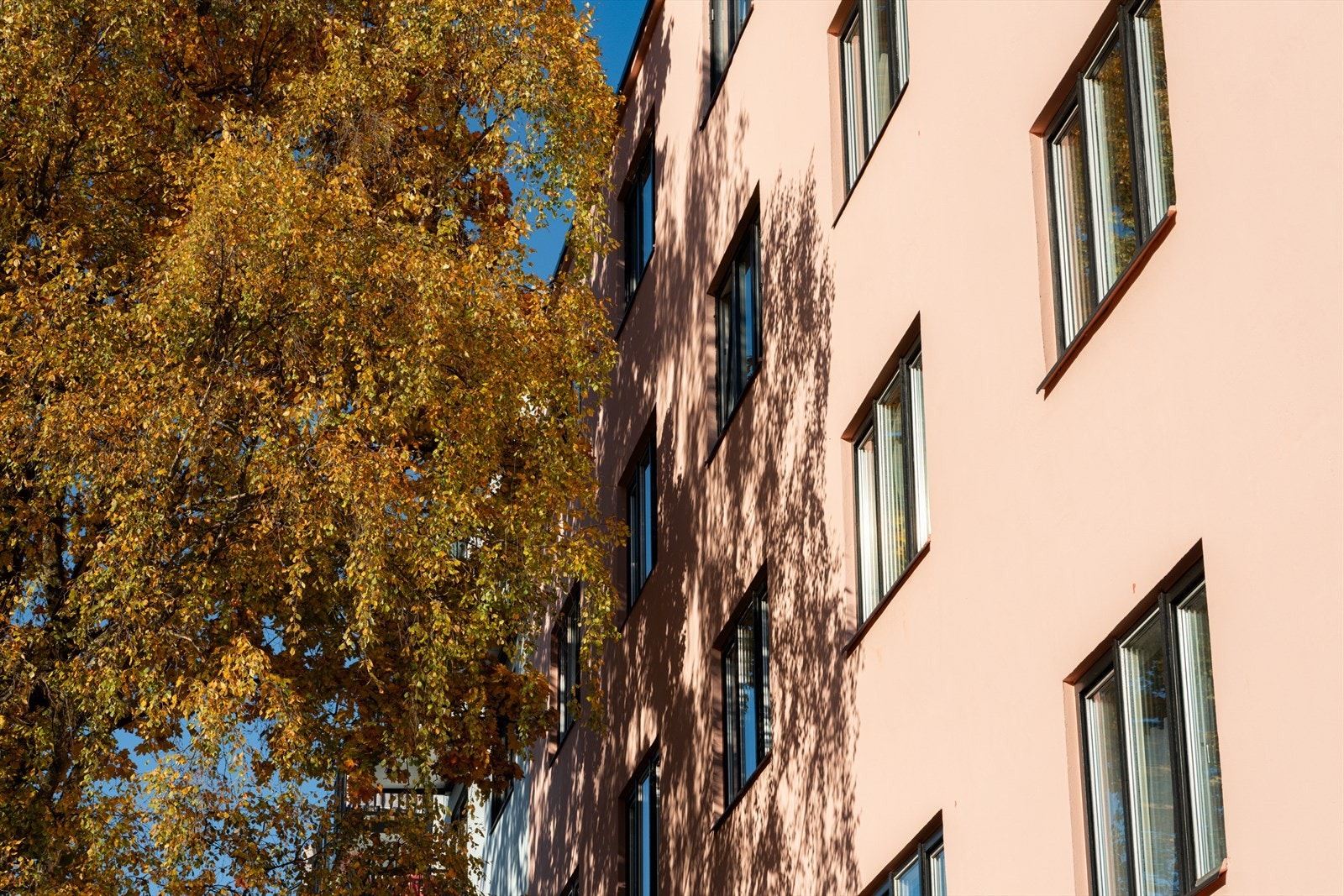 Velkommen til en hyggelig visning! Galleribilde