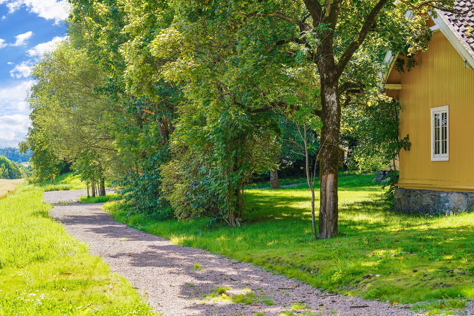 Østmarka med flott natur og mange fine badevann i umiddelbar nærhet til eiendommen Galleribilde