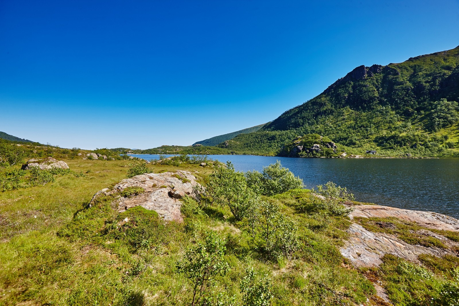 Beliggenhet Galleribilde