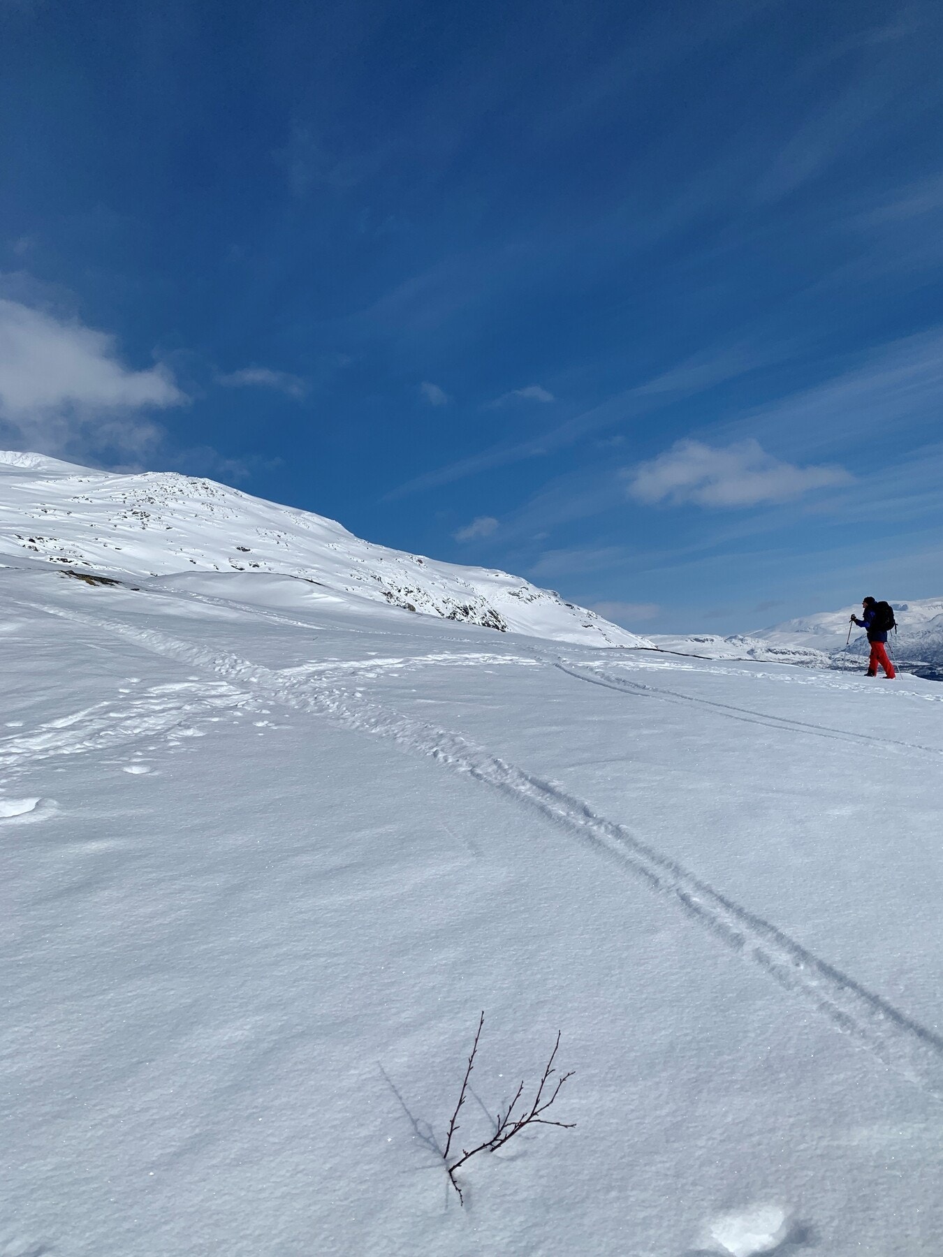 Her får du ekte skiterreng i vakre omgivelser, perfekt for både treningsturer og lange søndagsturer med utsikt Galleribilde