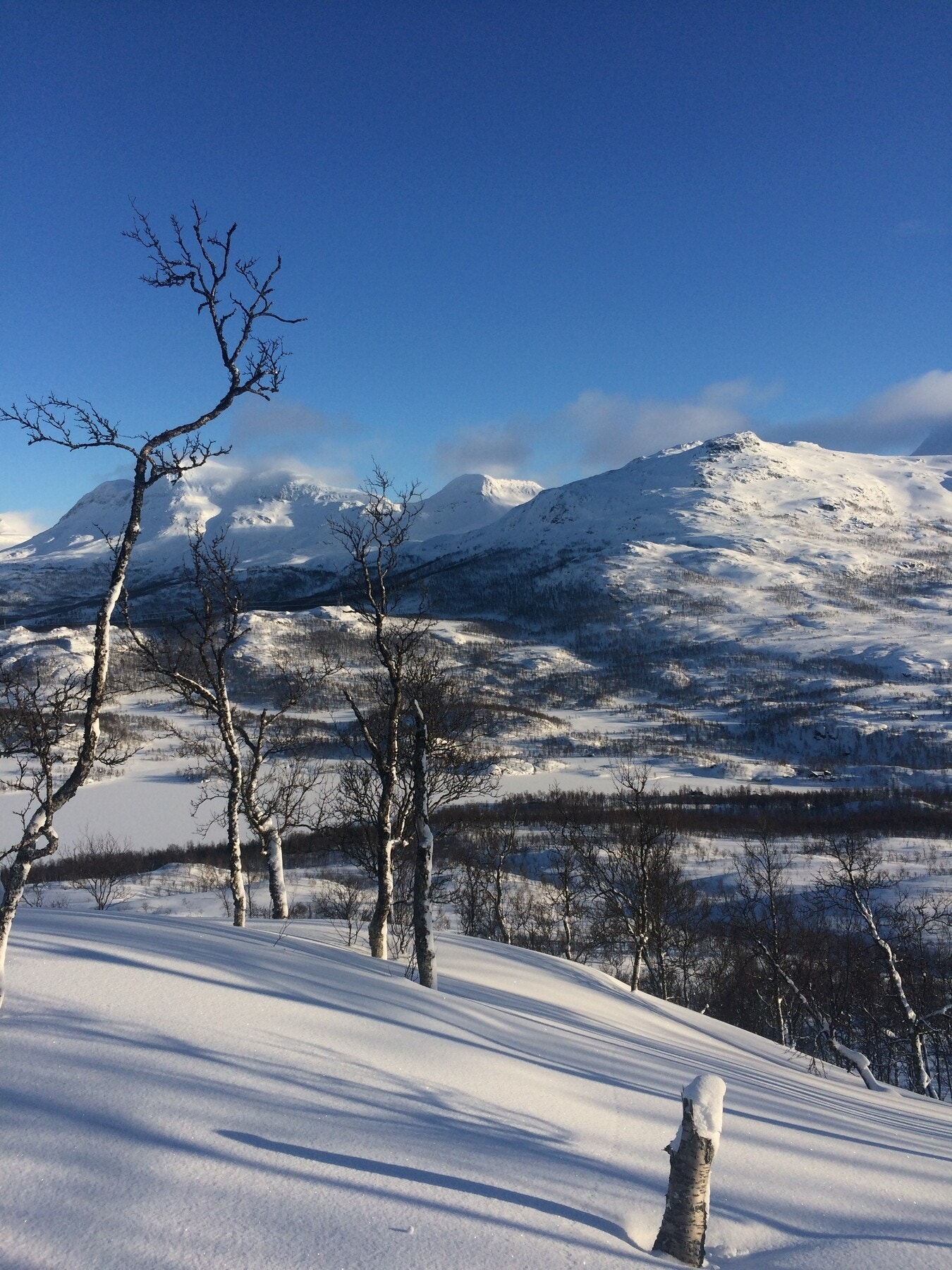 Her finner du ekte nordnorsk natur med frisk fjelluft, glitrende snø om vinteren og et rikt dyre- og planteliv året rundt. Perfekt for deg som søker naturopplevelser i rolige omgivelser Galleribilde