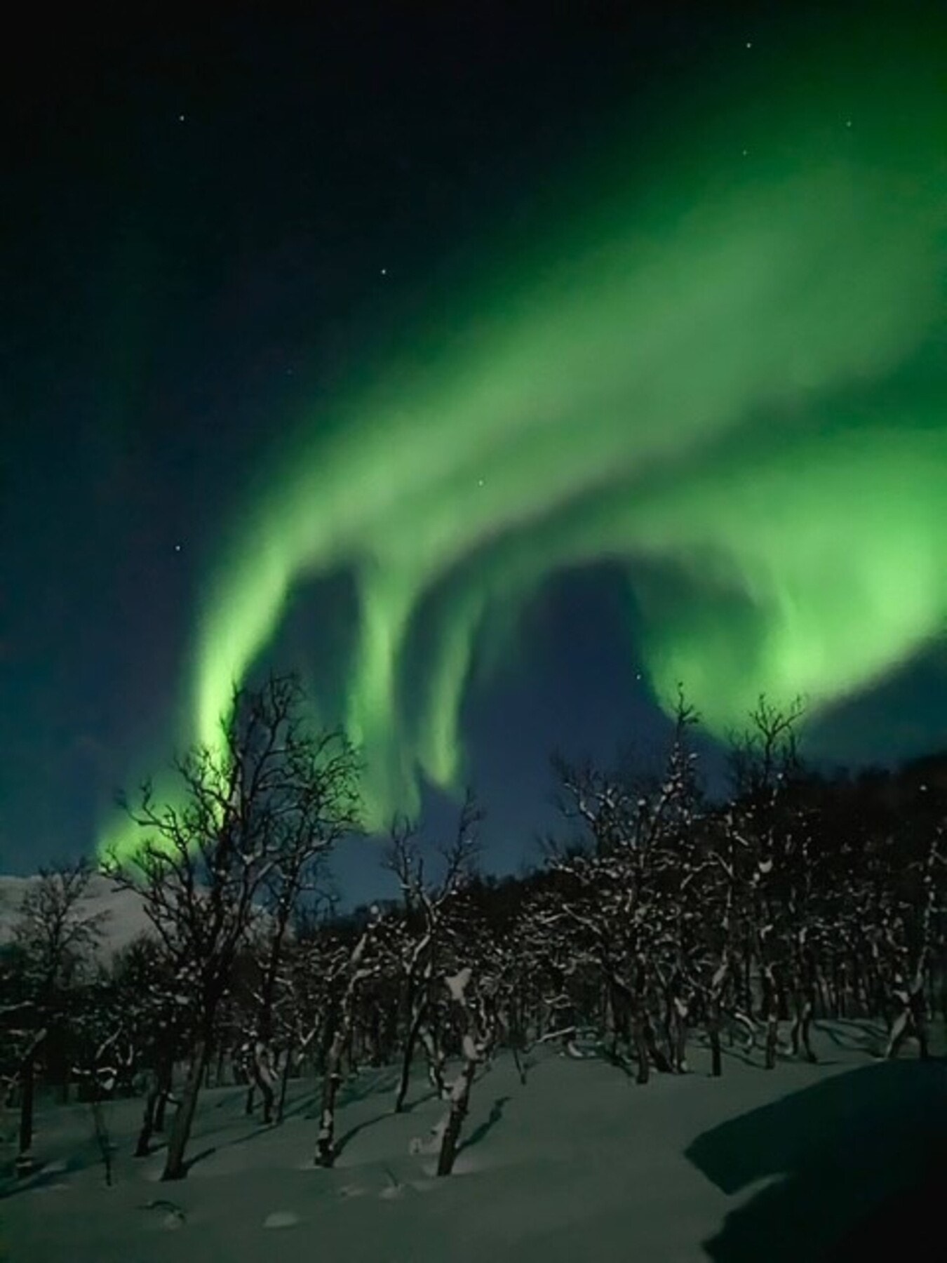 På klare vinterkvelder danser nordlyset over himmelen på Øse - et magisk skue som må oppleves Galleribilde