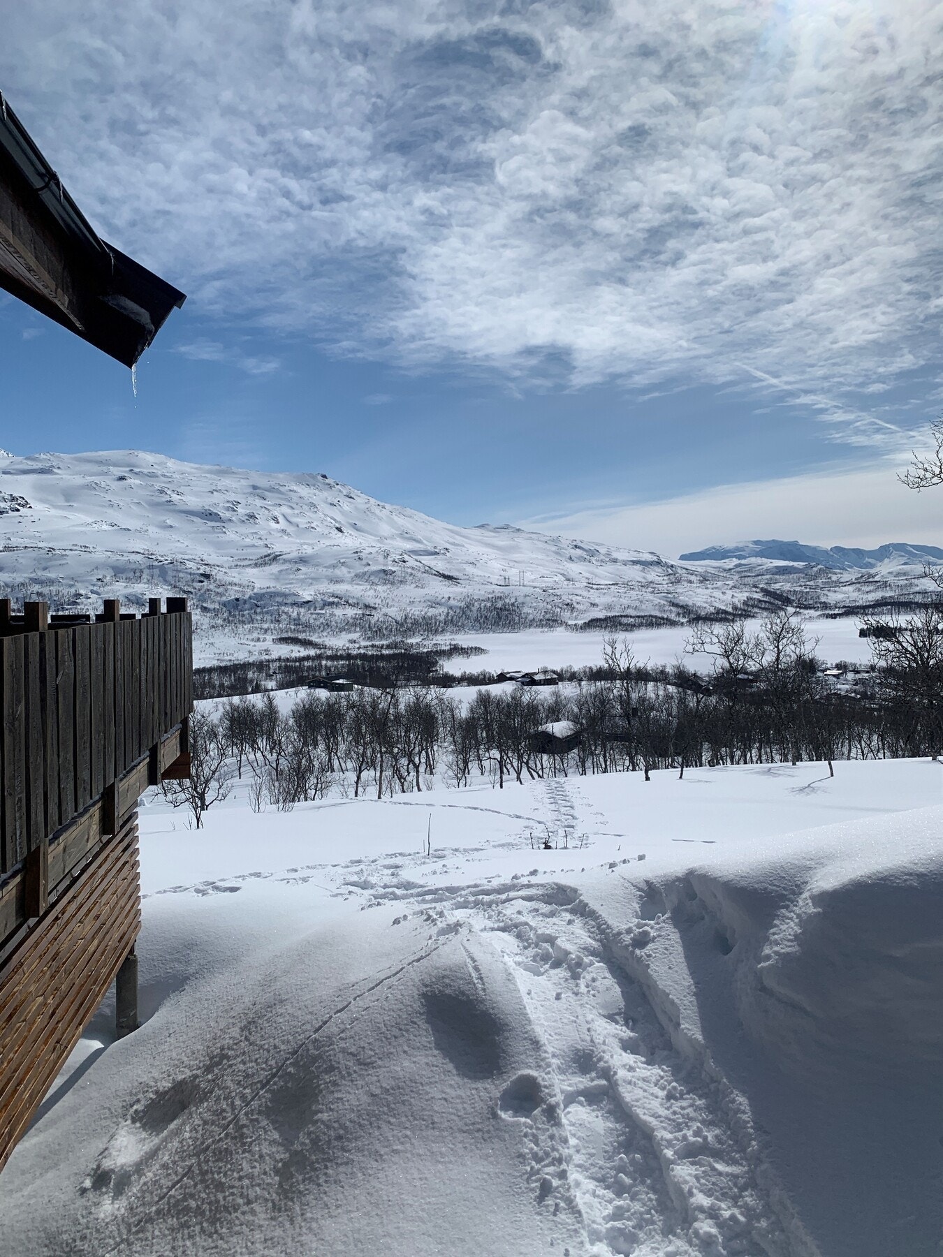 Vinteridyll Galleribilde