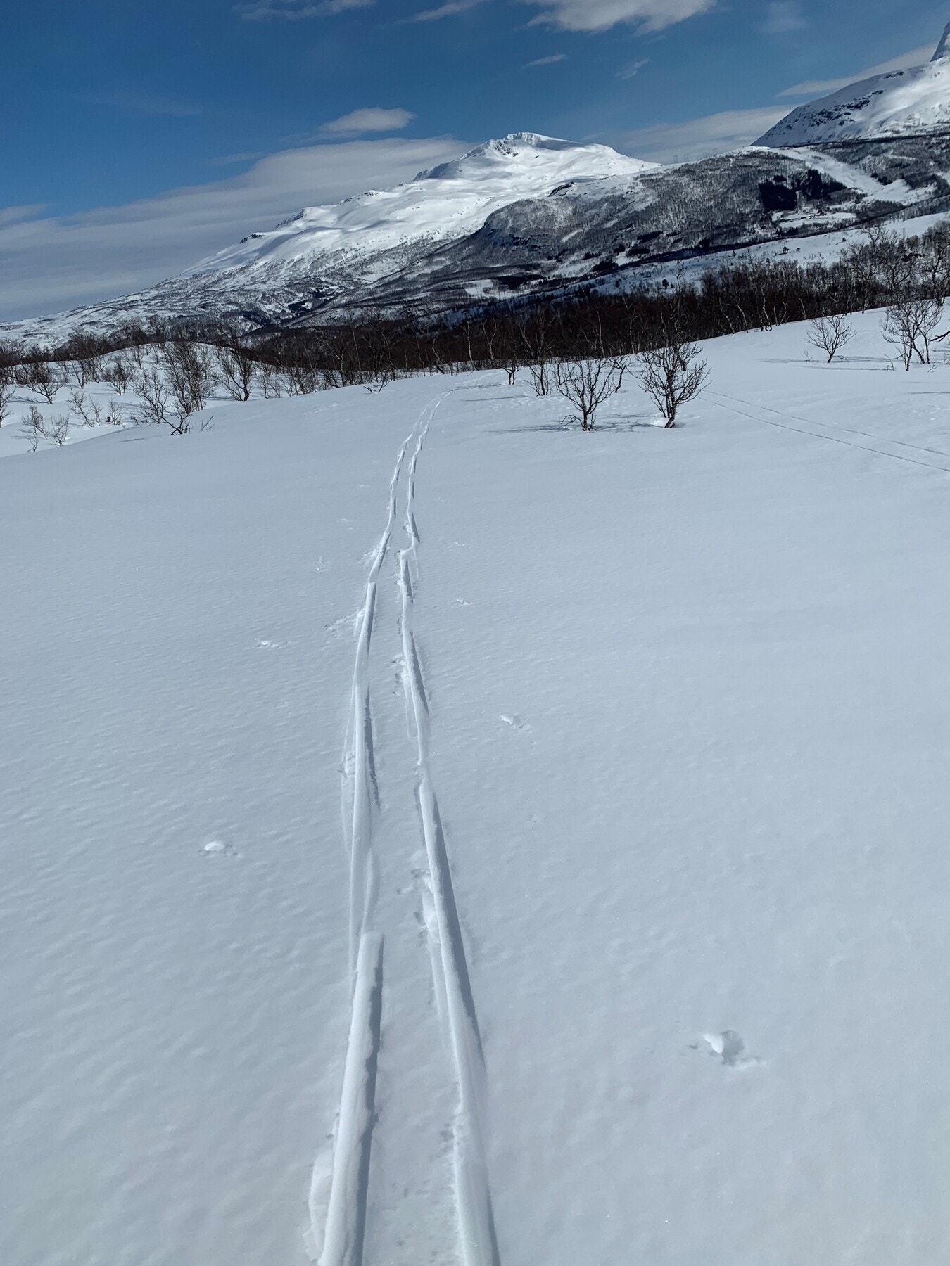 Skiterrenget på Øse er kjent for sine flotte løyper i variert natur - fra åpne myrer og slake stigninger til mer krevende partier som gir god trening Galleribilde
