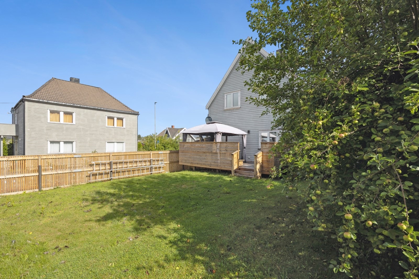 Romslig hage Galleribilde