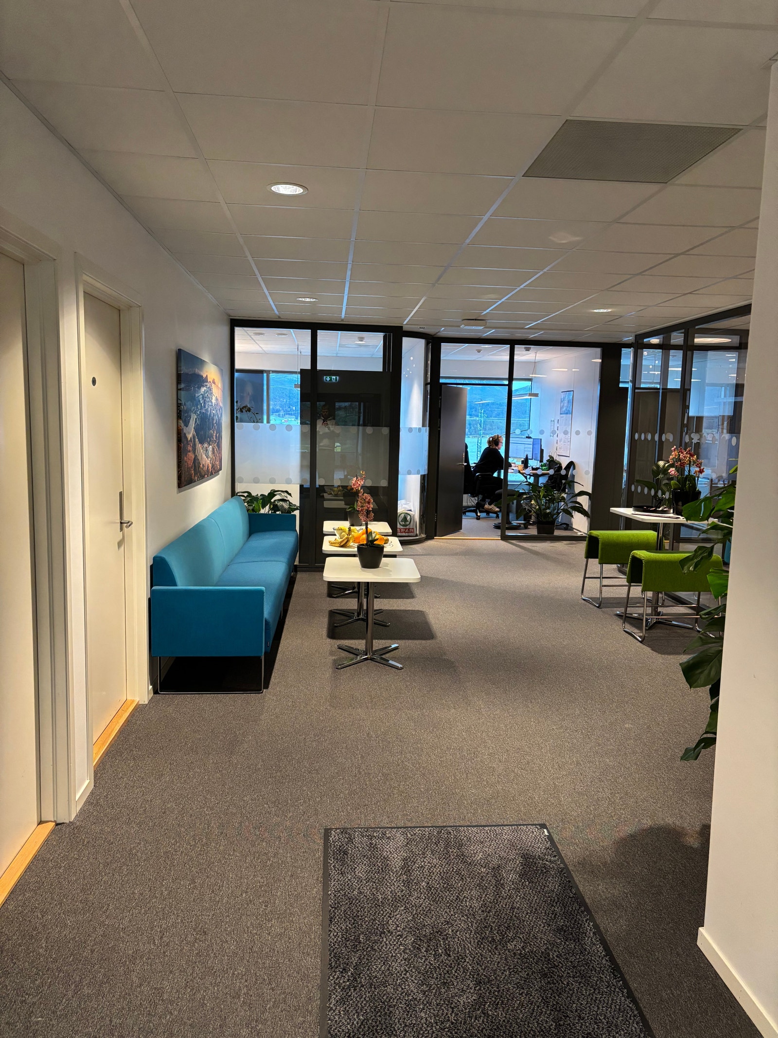 Romslig inngang Galleribilde